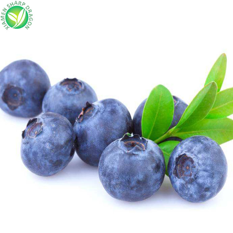 bulk frozen blueberries