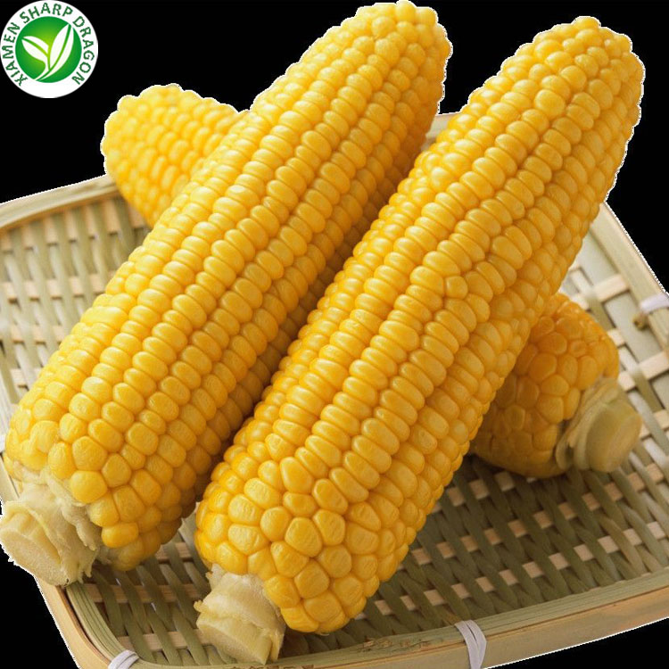 bulk frozen sweet corn importers