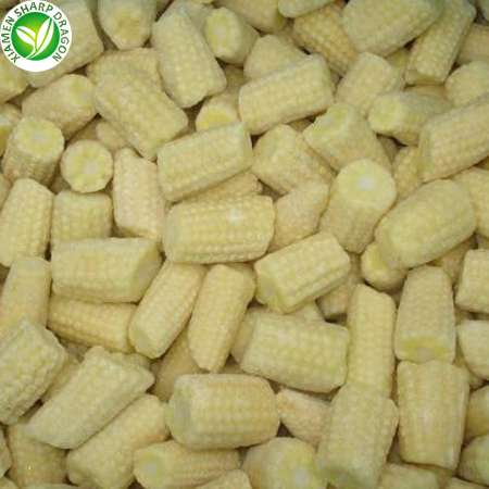 wholesale export frozen baby corn cobs