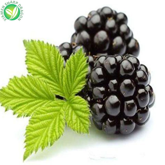 wholesale iqf blackberry bulk frozen black berries
