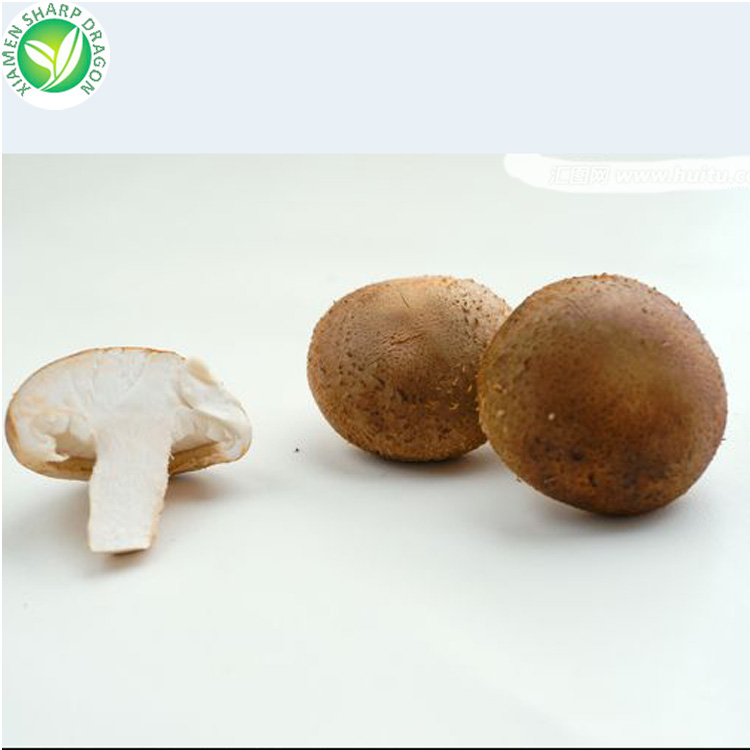 Air Dried Champignon Mushroom