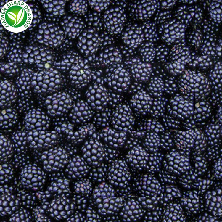 frozen blackberries in bulk