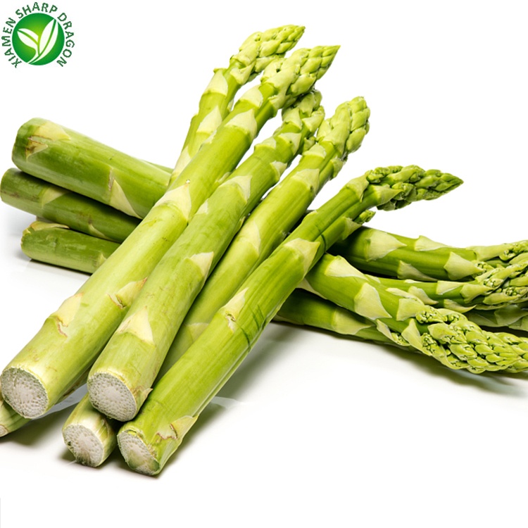 wholesale perfect pact fresh asparagus sourced from family farms in the china