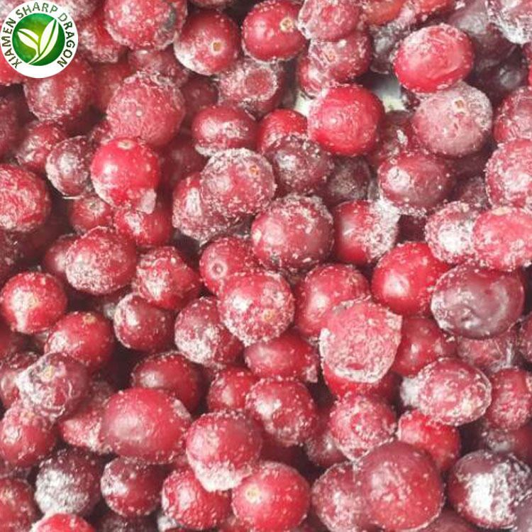 bulk iqf frozen lingonberry good quality