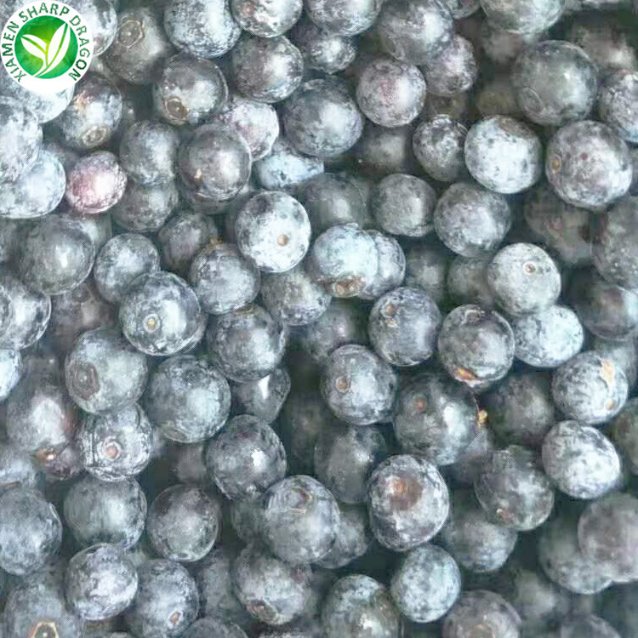 wholesale iqf bulk frozen blueberries price for china