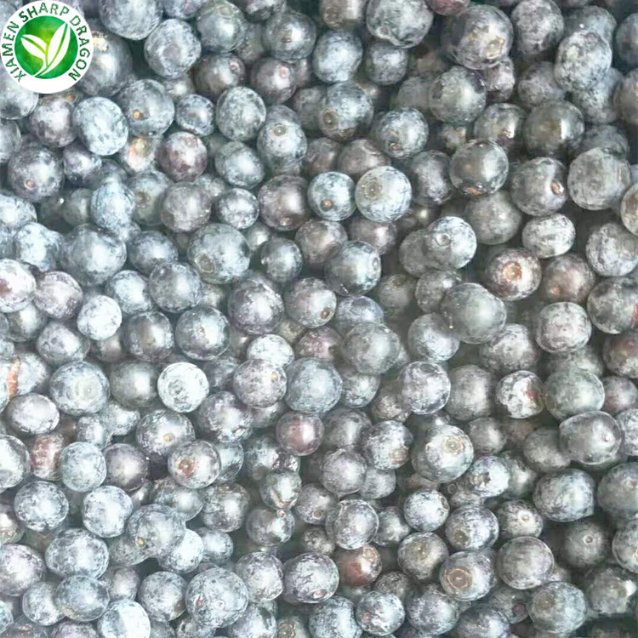 wholesale iqf bulk frozen blueberries price for china