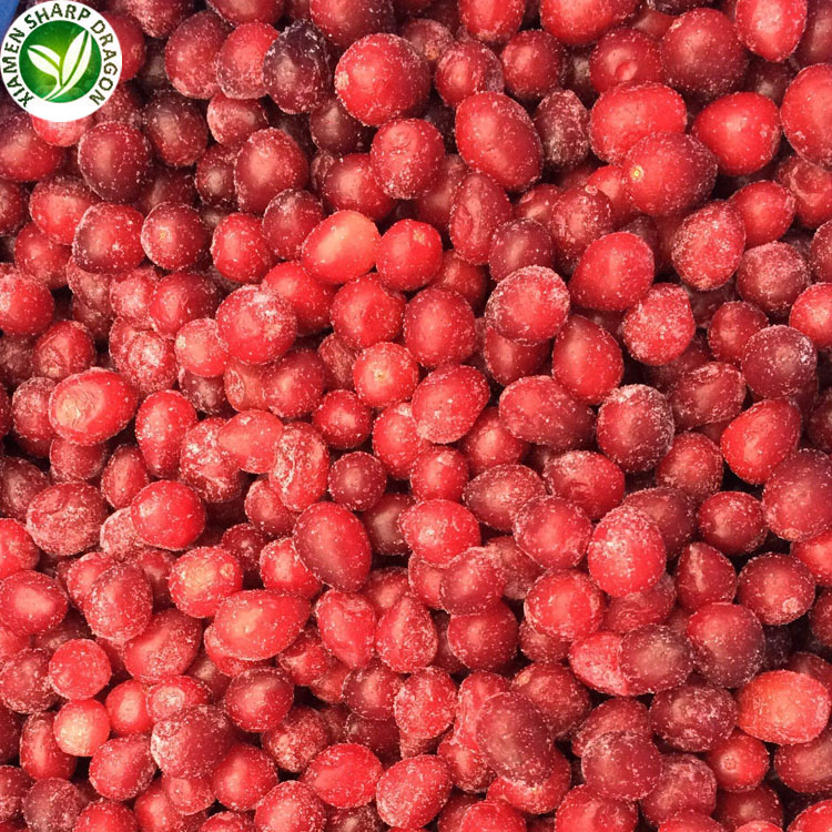 bulk iqf frozen lingonberry good quality
