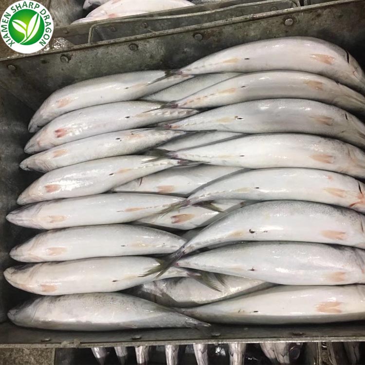 frozen mackerel prices
