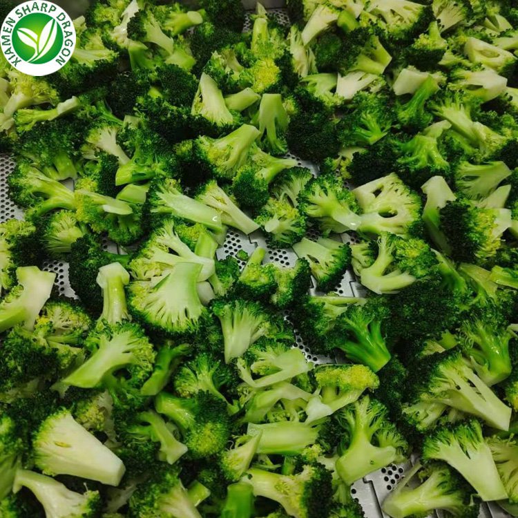high quality fresh vegetable frozen broccoli