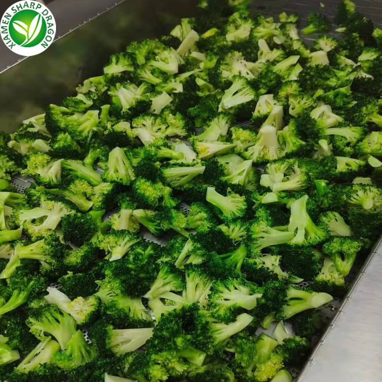 high quality fresh vegetable frozen broccoli